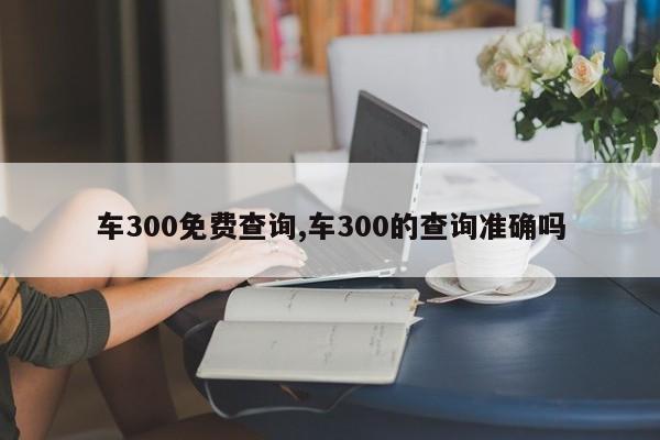 車300免費查詢,車300的查詢準確嗎