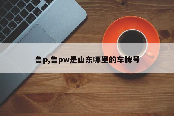 魯p,魯pw是山東哪里的車牌號