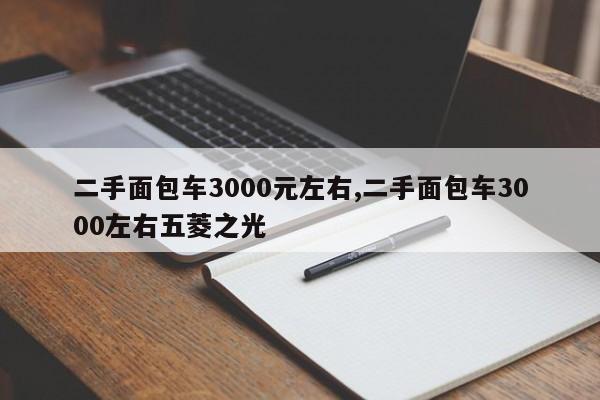 二手面包車3000元左右,二手面包車3000左右五菱之光